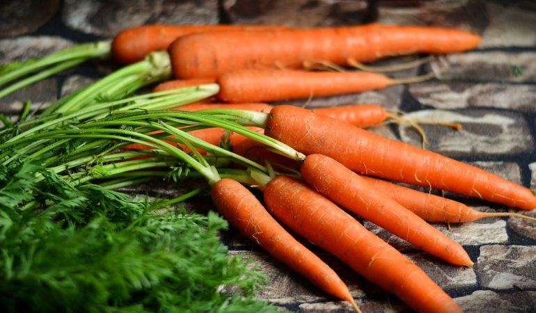 Quels sont les atouts des légumes cuisinés ?