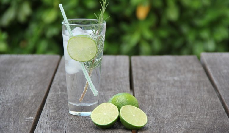 Tout savoir sur le Gin